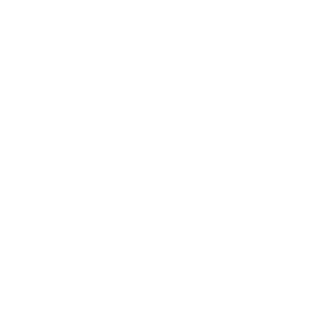 Datameros Logo